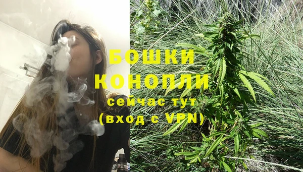 гашик Заводоуковск