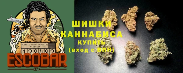 крисы Лабытнанги