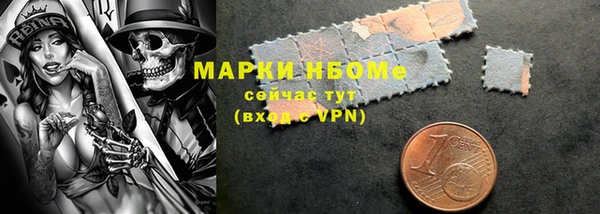 гашик Пересвет